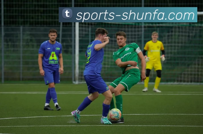 顺发体育工程平台生态图